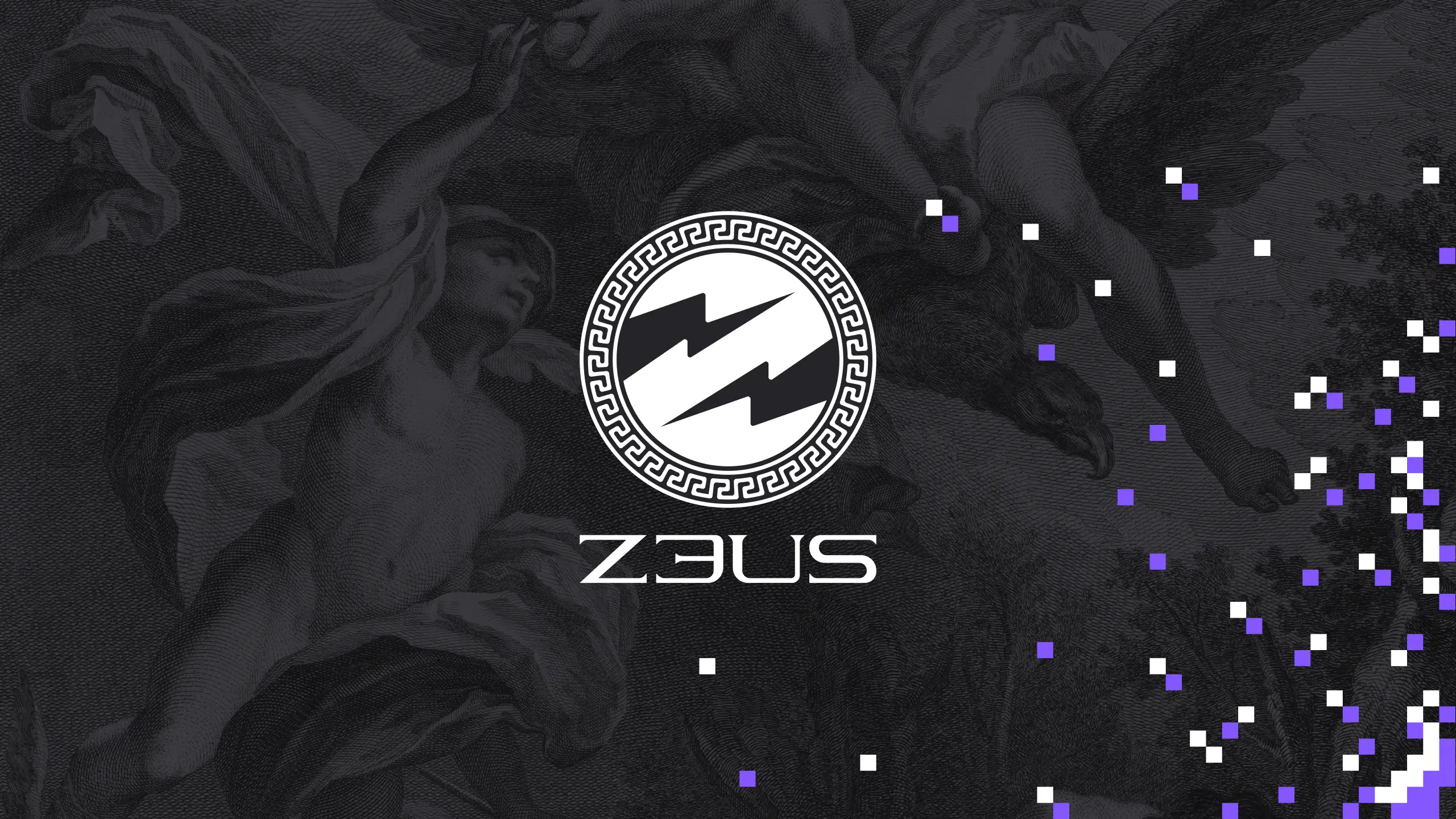 Z3US brand identity and design system showing consistent visual language